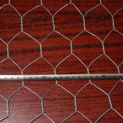 hexagonal wire mesh