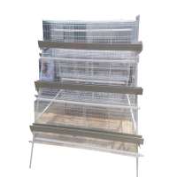 Design automatic layer chicken cages  for sale