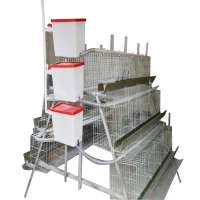 Battery design layer chicken cages with automatic system